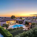 Oasis